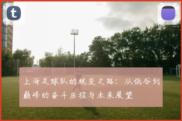 上海足球队的蜕变之路：从低谷到巅峰的奋斗历程与未来展望